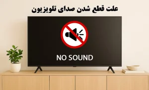 چرا تلویزیون صدا ندارد